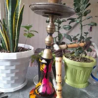 سلام قلیون برنج سالم