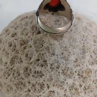 انگشتر نقره استاد آزاده