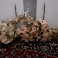 صخره اکواریوم|ماهی|چهاردانگه (تهران), |دیوار