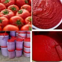 رب خانگی وآبغوره|خوردنی و آشامیدنی|شاهین‌شهر, گزبرخوار|دیوار