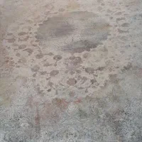 فرش ۹ متری|فرش|هندیجان, |دیوار