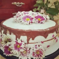 کیک|خوردنی و آشامیدنی|قم, باجک دو|دیوار