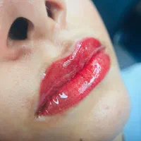 نیازمند چندمدل ارایش دائم صورت شیدینگ لب وبن مژه|خدمات آرایشگری و زیبایی|بندر کنگان, |دیوار