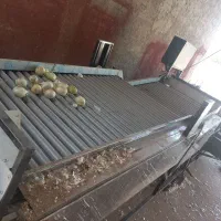 سورتینگ محصولات پرتغال پیاز ..|ماشینآلات صنعتی|ساری, |دیوار