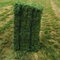پرس یونجه