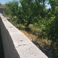 باغ-در-کرگان-قوریگل
