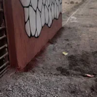 زمین-باغ-طرق