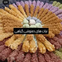 قند‌های میوه ای بارنگای متنوع مناسب برای پذیرایی