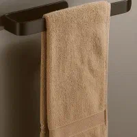 ۱۰۰ هزار تومن ۲ عدد