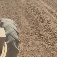 ردیف کار آبی کار|خدمات باغبانی و درختکاری|خاوه, |دیوار