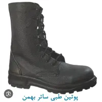 پوتین بهمن