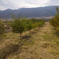 باغ در سراب ایوان