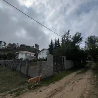 کلارشت‌ (گرکپس)