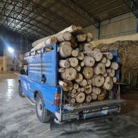 فروش چوب کبوده تحویل کارگاه