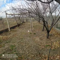 فروش زمین کشاورزی در بیضا