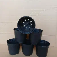 گلدان پلاستیکی ، گلدان زینتی گلپونه|عمده‌فروشی|چابکسر, |دیوار