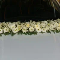 اجاره ماشین شاستی با تزیین ماشین عروس|گل و گیاه طبیعی|قم, نیروگاه|دیوار