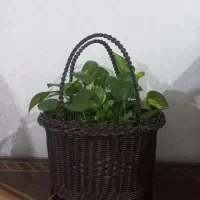 سبد های  دستباف طرح حصیر