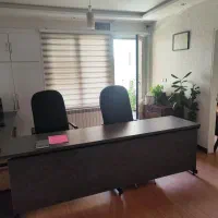 منشی خانم باهوش و بی حاشیه