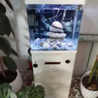 آکواریوم دلسا K390