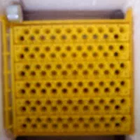 دستگاه جوجه کشی ( دستک )|لوازم جانبی حیوانات|لنگرود, |دیوار