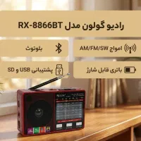 رادیو بلوتوثی، فلش خور