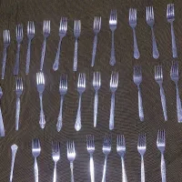 ۳۰ عدد چنگال