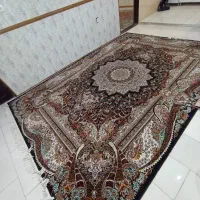 یک عدد فرش ۹ متری / ۷۰۰ شانه