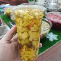 ترشی نازخاتون