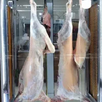 گوشت گوساله. وبره نرینه|خوردنی و آشامیدنی|بجنورد, |دیوار