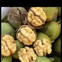 خشکبار گردو