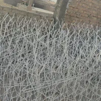 حفاظ شاخ گوزنی