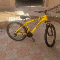 دوچرخه|دوچرخه، اسکیت، اسکوتر|فولادشهر, B2|دیوار