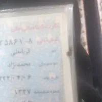 گم شده