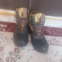 کفش ایمنی patan|کیف، کفش، کمربند|فسا, |دیوار