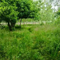 600مترزمین-باپروانه-ساخت-گیلان-رشت-سنگر