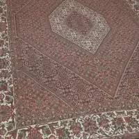 فرش باختر تازه از دار انداخته شده