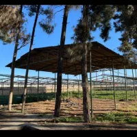 اجاره شش هزار متر از باغ|اجارهٔ دفتر صنعتی، کشاورزی، تجاری|شیراز, دست خضر|دیوار