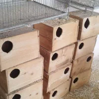 قفس پرنده،لانه،لونه،|لوازم جانبی حیوانات|قم, شهرک مهدیه (مدرس)|دیوار