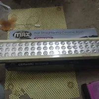 چراغ شارژی وشبخواب و چراغ مطالعه