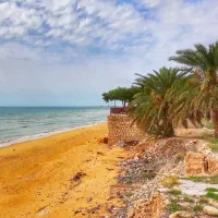 تور گردشگری سواحل سیراف و نخل تقی با مجوز