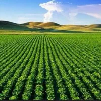 فروش-زمین-کشاورزی