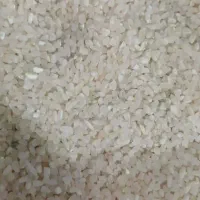 فروش|خوردنی و آشامیدنی|شیراز, جوادیه|دیوار