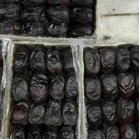 خرما مضافتی