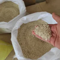 برنج محلی درجه یک