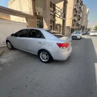 سراتو خونگی/تک برگ/ملی