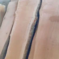 خرید انواع چوب درختان باغی و جنگلی|خدمات باغبانی و درختکاری|صفادشت, |دیوار