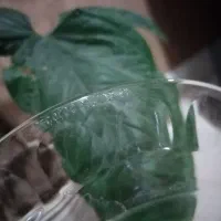 سرویس غذا خوری ارکروک  فرانسه|ظروف سرو و پذیرایی|تربتحیدریه, حسنی بالا|دیوار