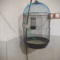 قفس باپایه