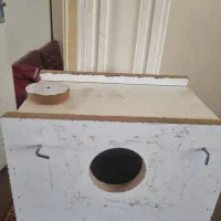 لانه عروس کبوتر